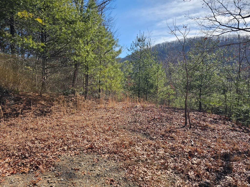 51 Kudzu Creek Trail, Murphy NC 28906 - Photo