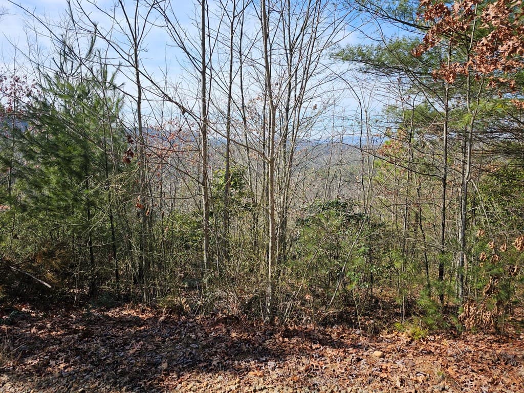 51 Kudzu Creek Trail, Murphy NC 28906 - Photo
