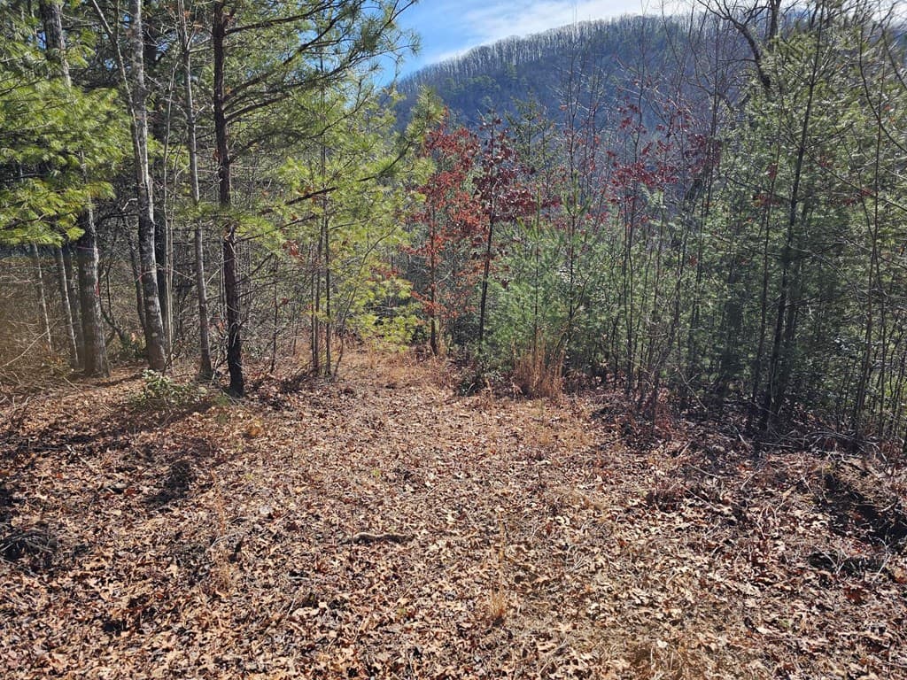 51 Kudzu Creek Trail, Murphy NC 28906 - Photo