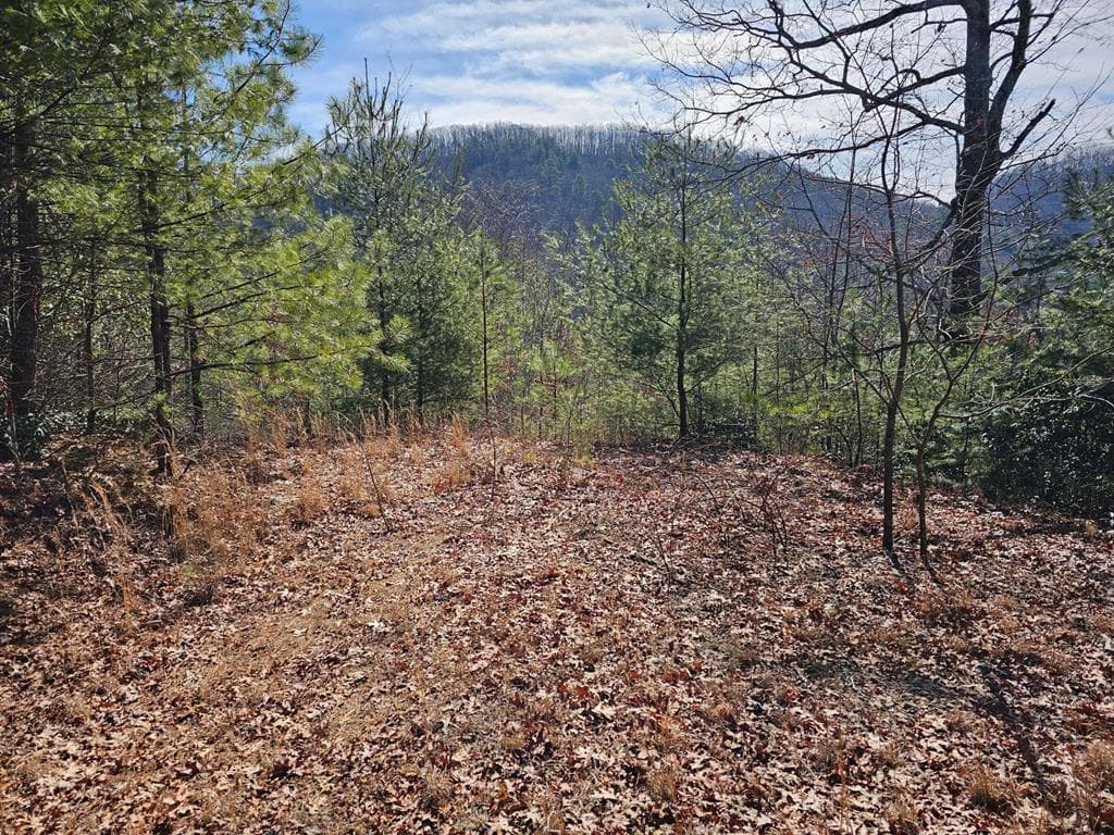 51 Kudzu Creek Trail, Murphy NC 28906 - Primary photo