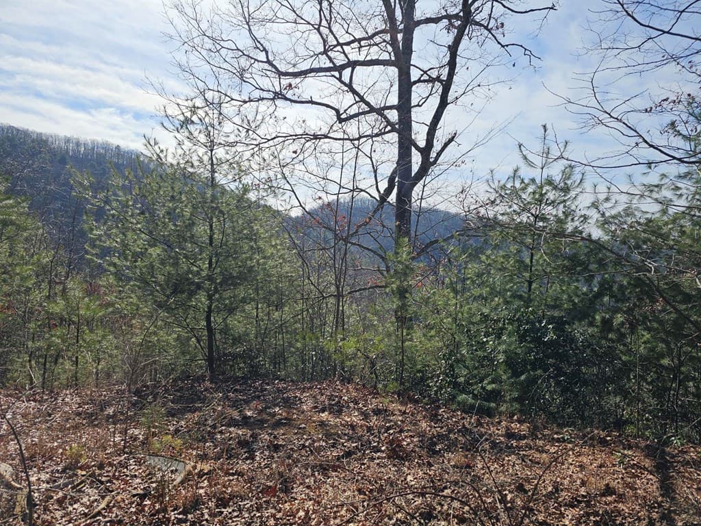 51 Kudzu Creek Trail, Murphy NC 28906 - Photo