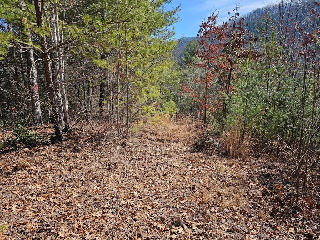51 Kudzu Creek Trail, Murphy NC 28906 - Photo