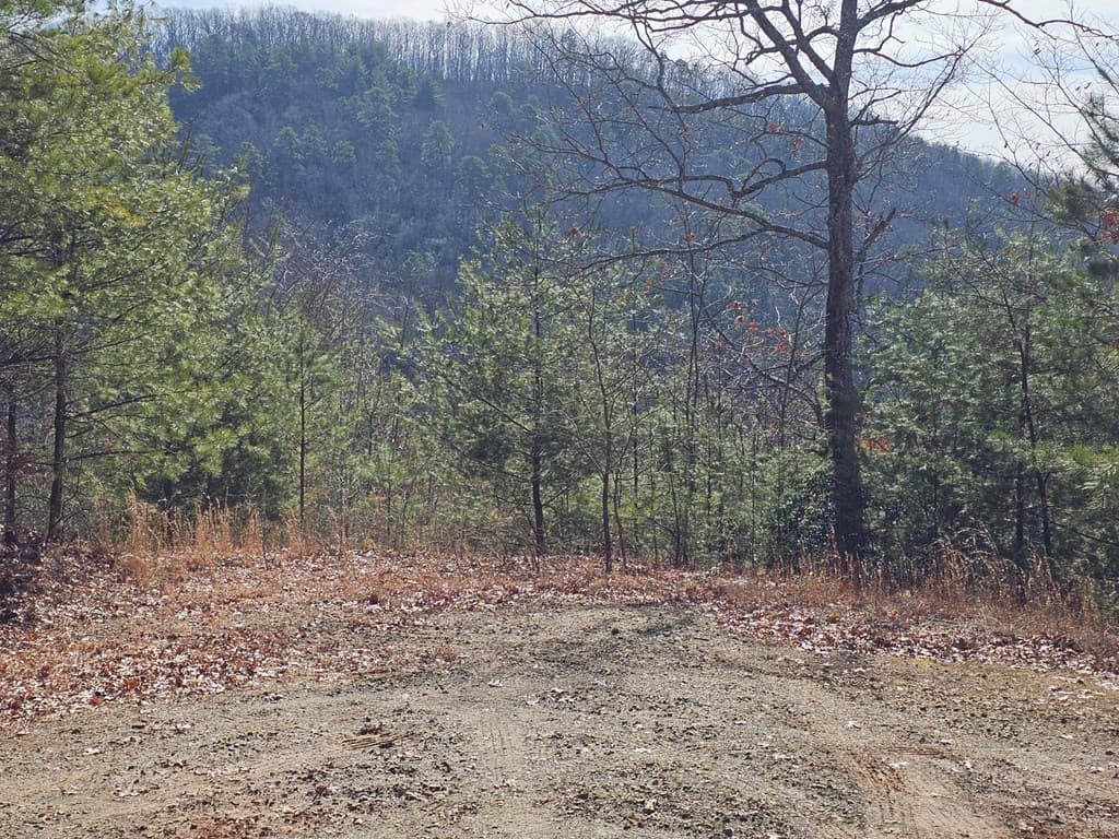 51 Kudzu Creek Trail, Murphy NC 28906 - Photo
