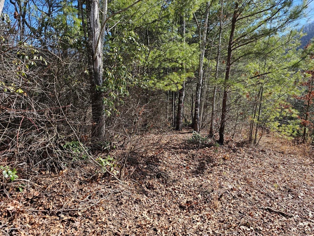 51 Kudzu Creek Trail, Murphy NC 28906 - Photo