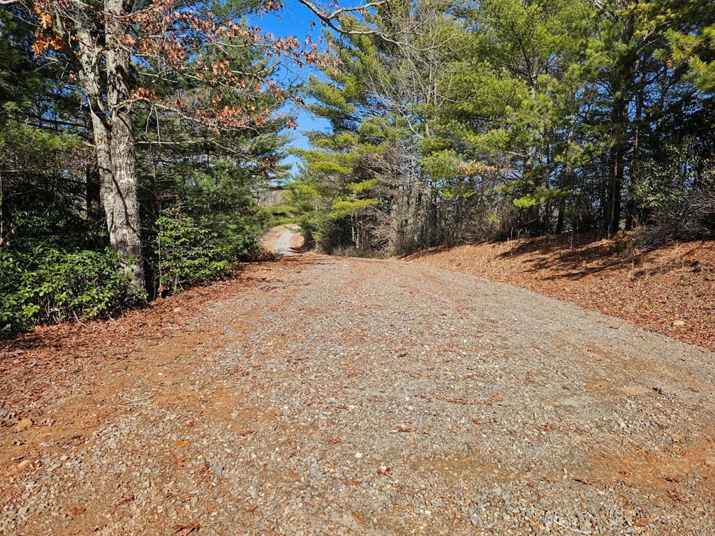 51 Kudzu Creek Trail, Murphy NC 28906 - Photo