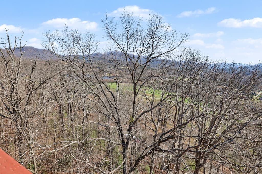 1613 Clark Drive, Hiawassee GA 30546 - Photo