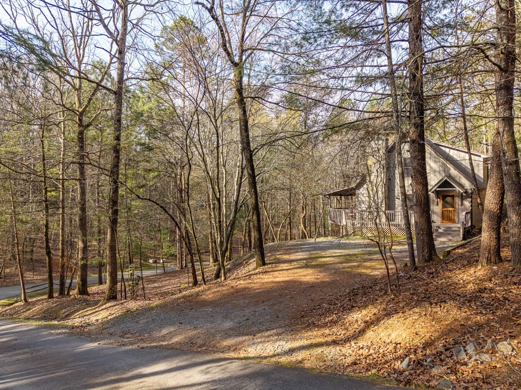 19 Blackberry Falls Lane, Ellijay GA 30536 - Photo