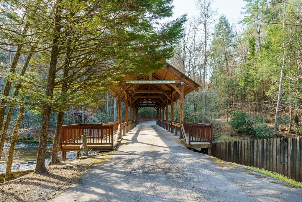 19 Blackberry Falls Lane, Ellijay GA 30536 - Photo