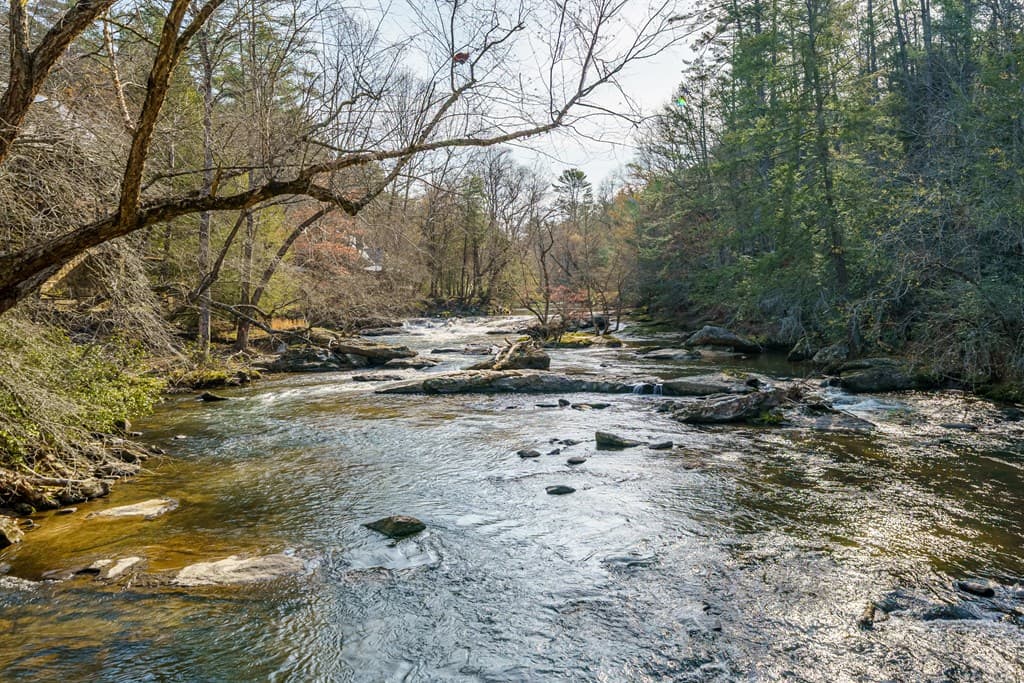 19 Blackberry Falls Lane, Ellijay GA 30536 - Photo