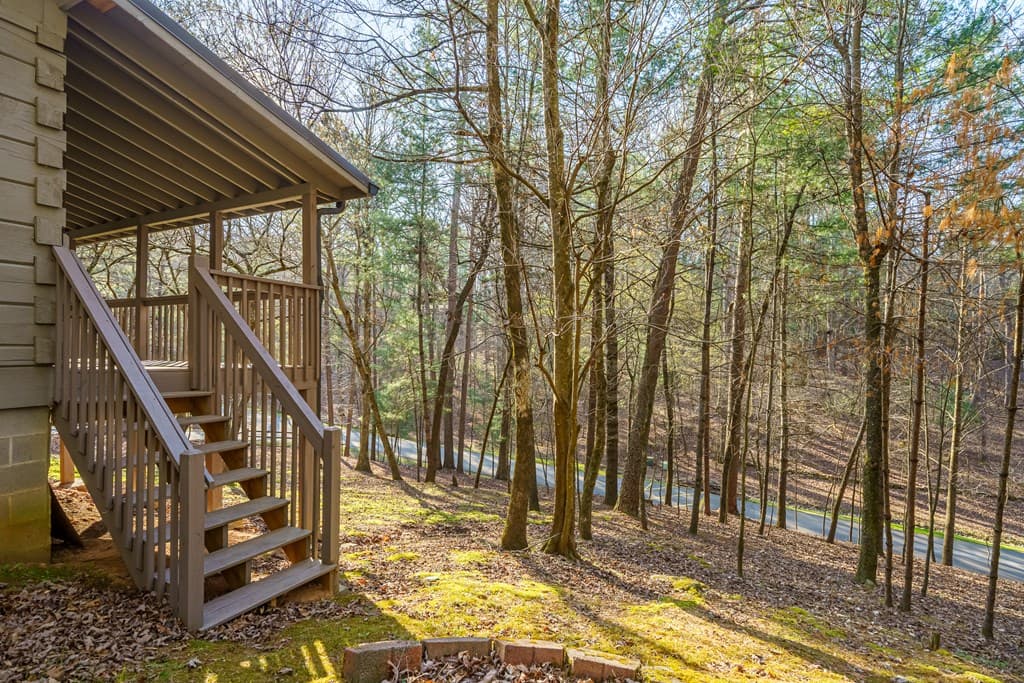 19 Blackberry Falls Lane, Ellijay GA 30536 - Photo