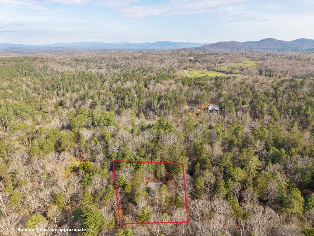 19 Blackberry Falls Lane, Ellijay GA 30536 - Photo