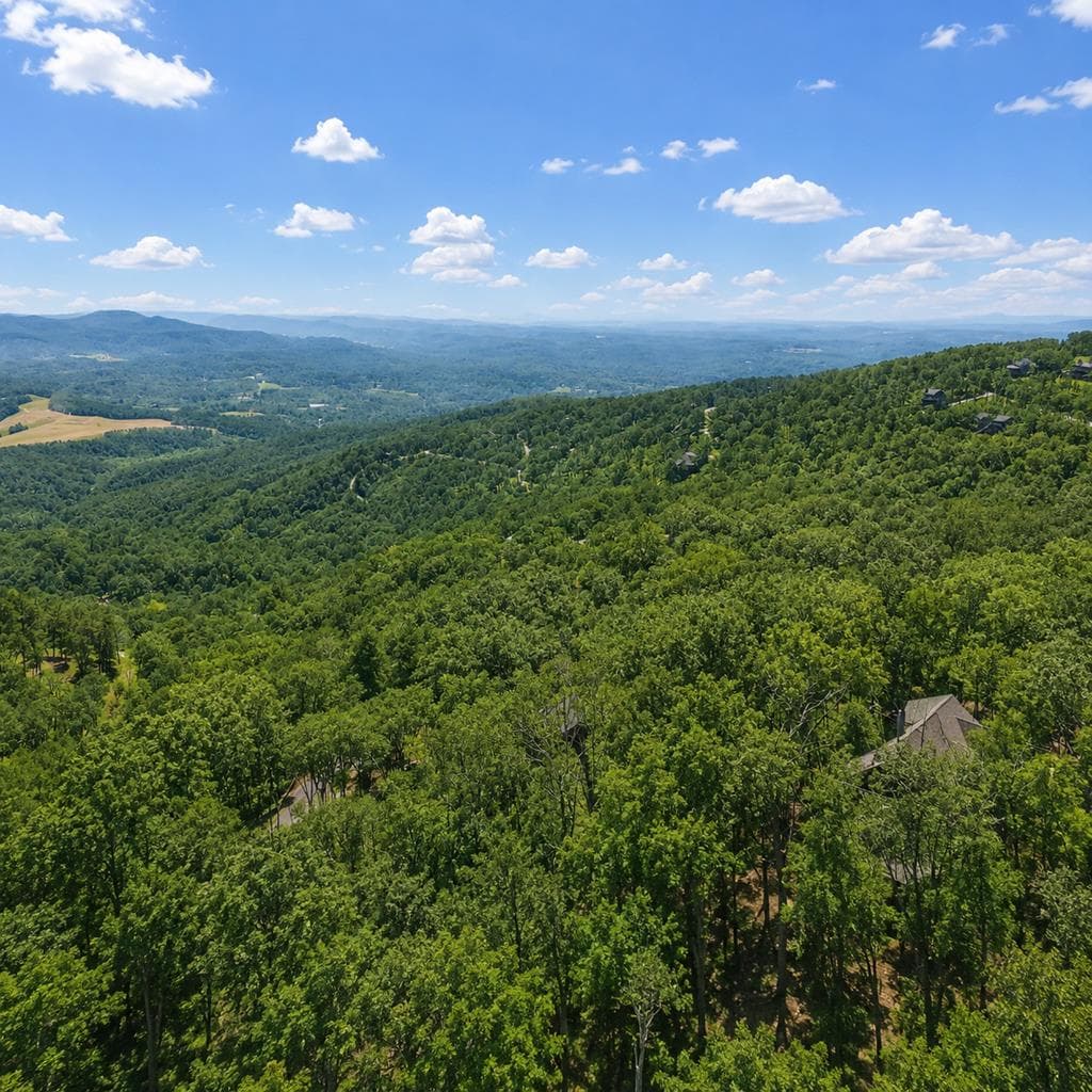 71 Cutthroat Ridge Road, Jasper GA 30143 - Photo