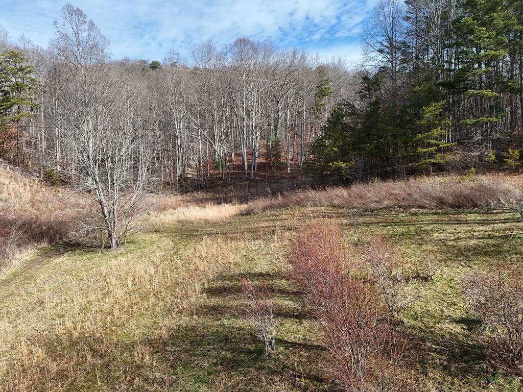 Lot 1 Jordan Road, Blairsville GA 30512 - Primary photo