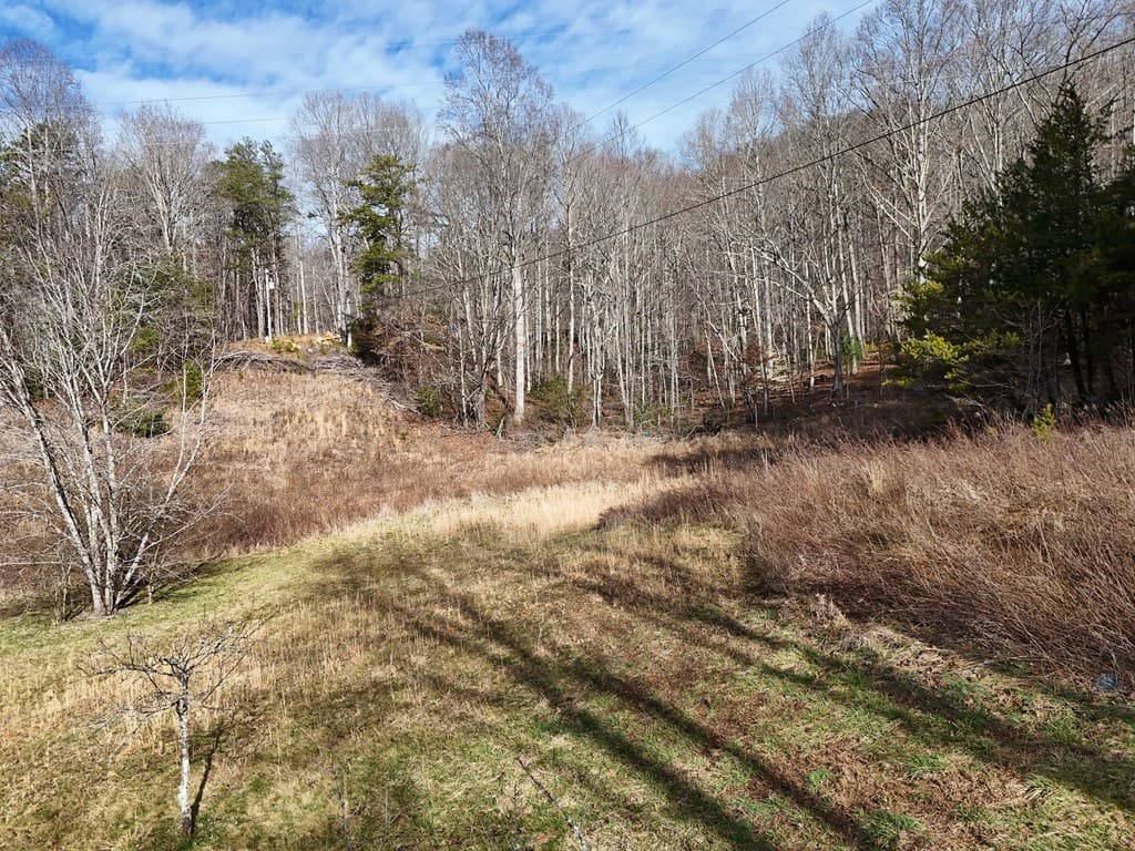 Lot 1 Jordan Road, Blairsville GA 30512 - Photo