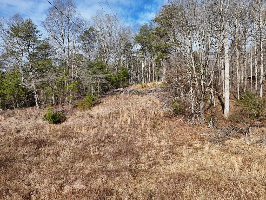 Lot 2 Jordan Road, Blairsville GA 30512 - Photo