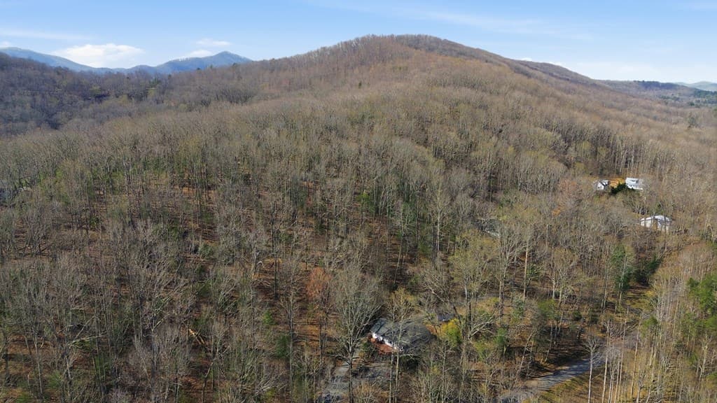321 Hamilton Road, Blairsville GA 30512 - Photo