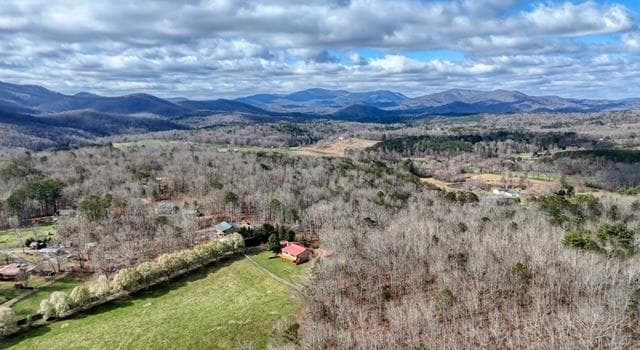 205 Oak Ridge Road, Morganton GA 30560 - Photo
