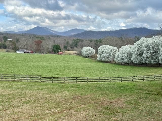 205 Oak Ridge Road, Morganton GA 30560 - Photo