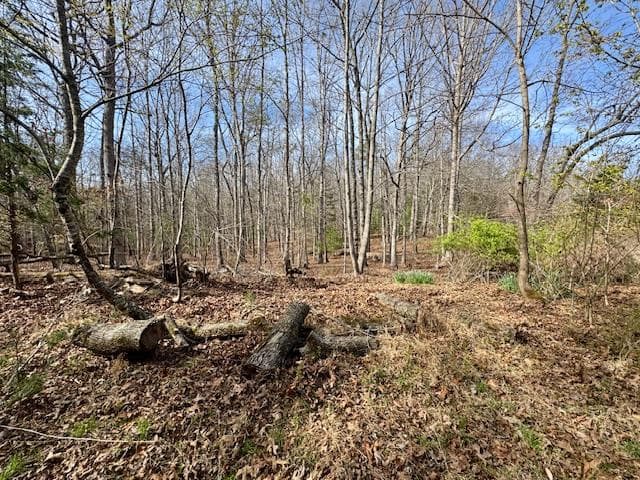 205 Oak Ridge Road, Morganton GA 30560 - Photo