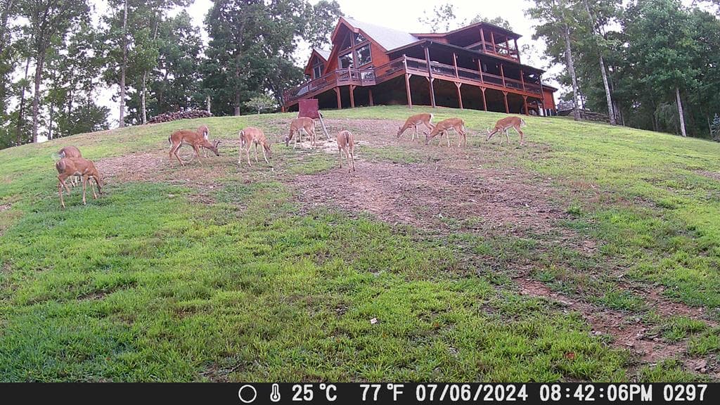 4760 Anderson Road, Hiawassee GA 30546 - Photo