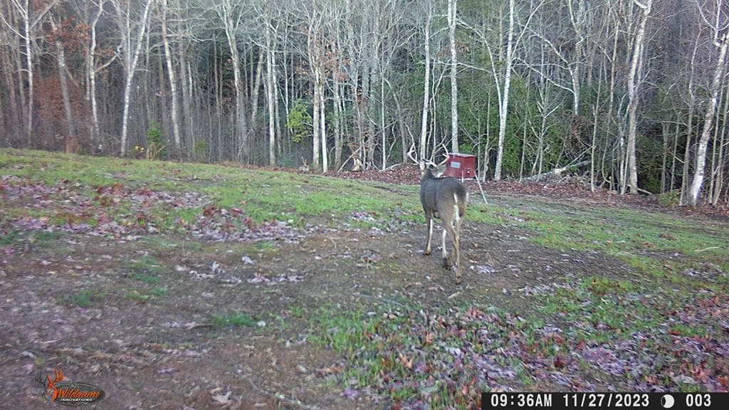4760 Anderson Road, Hiawassee GA 30546 - Photo