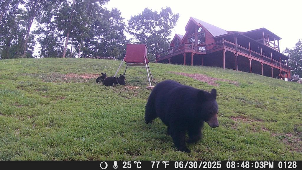 4760 Anderson Road, Hiawassee GA 30546 - Photo