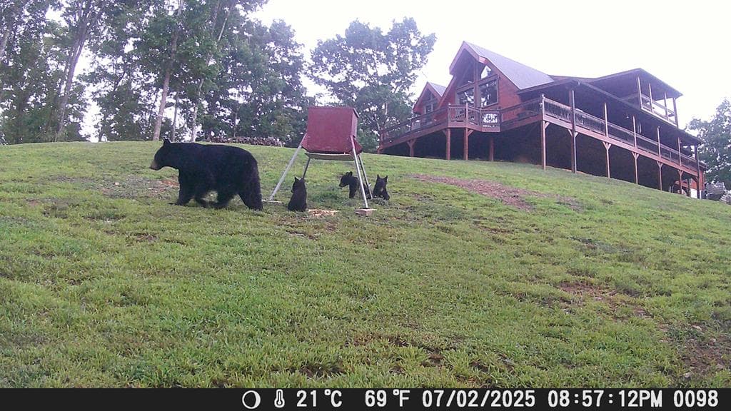 4760 Anderson Road, Hiawassee GA 30546 - Photo