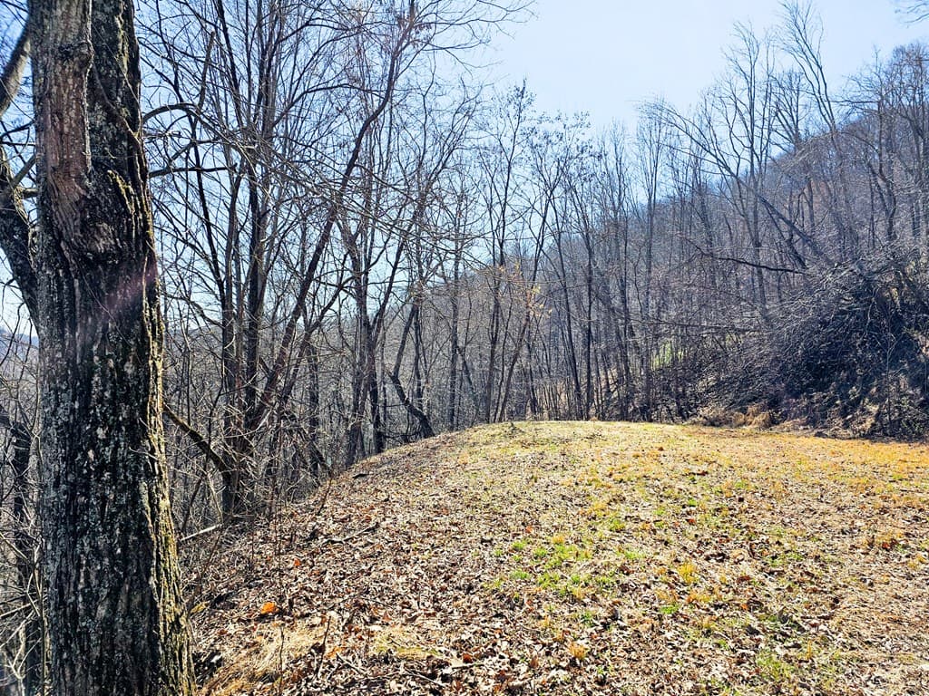 Lot 39 Merlin Trail/Warbler Road, Murphy NC 28906 - Photo