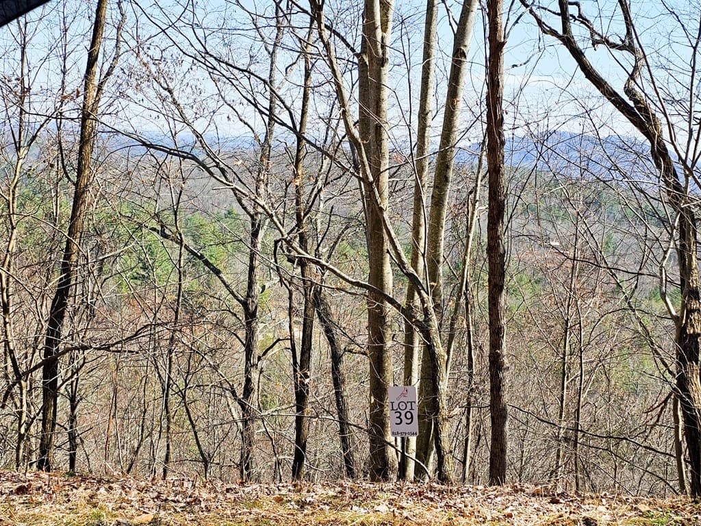 Lot 39 Merlin Trail/Warbler Road, Murphy NC 28906 - Photo