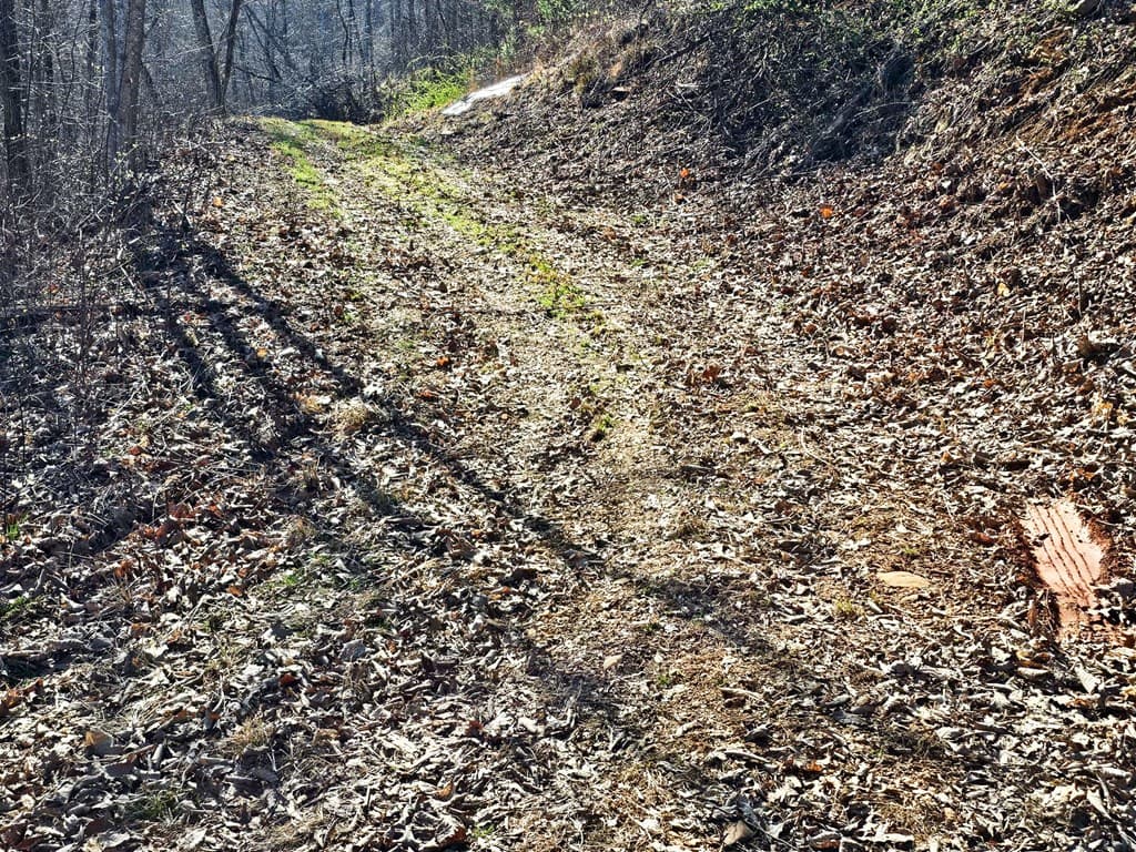 Lot 39 Merlin Trail/Warbler Road, Murphy NC 28906 - Photo