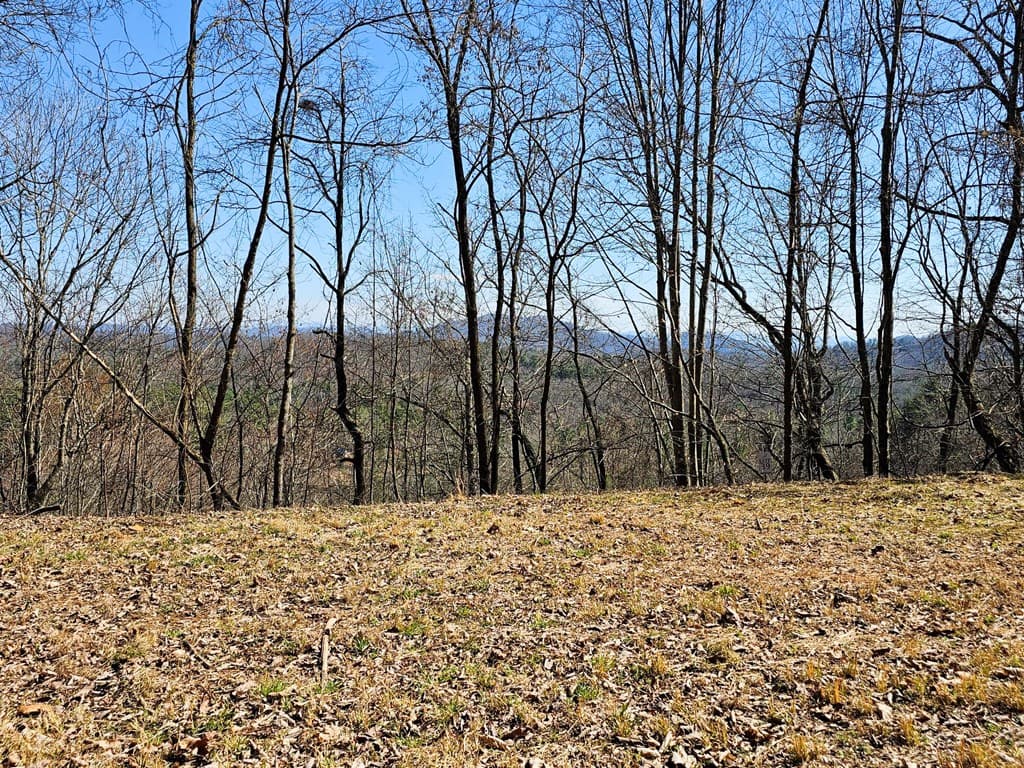 Lot 39 Merlin Trail/Warbler Road, Murphy NC 28906 - Photo