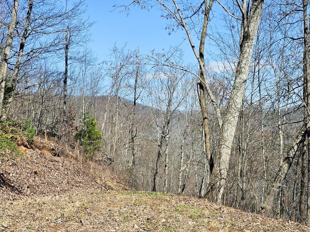 Lot 39 Merlin Trail/Warbler Road, Murphy NC 28906 - Photo