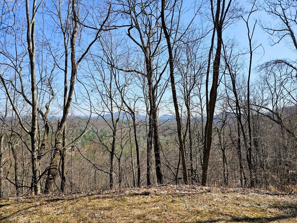 Lot 39 Merlin Trail/Warbler Road, Murphy NC 28906 - Photo