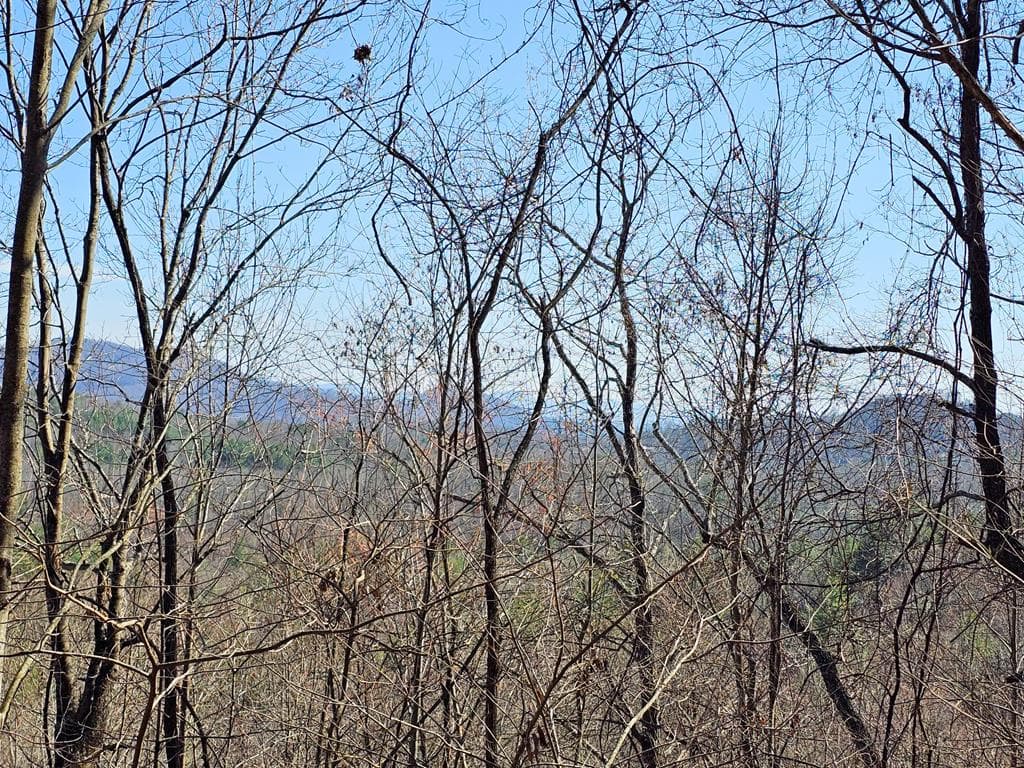 Lot 39 Merlin Trail/Warbler Road, Murphy NC 28906 - Primary photo