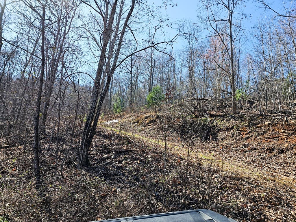 Lot 39 Merlin Trail/Warbler Road, Murphy NC 28906 - Photo