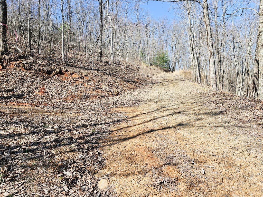 Lot 39 Merlin Trail/Warbler Road, Murphy NC 28906 - Photo