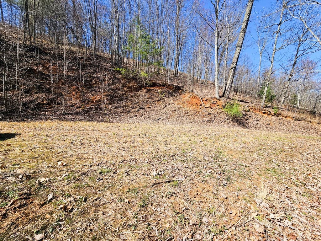 Lot 39 Merlin Trail/Warbler Road, Murphy NC 28906 - Photo