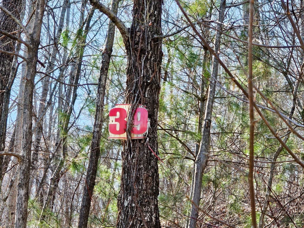 Lot 39 Merlin Trail/Warbler Road, Murphy NC 28906 - Photo