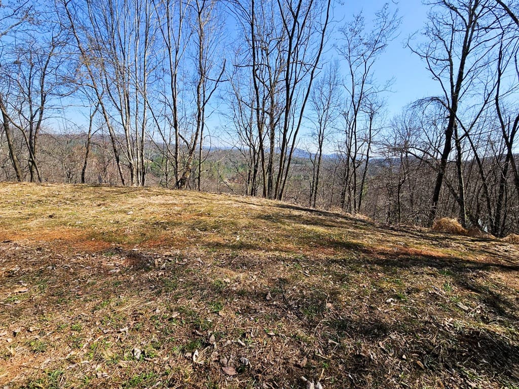 Lot 39 Merlin Trail/Warbler Road, Murphy NC 28906 - Photo