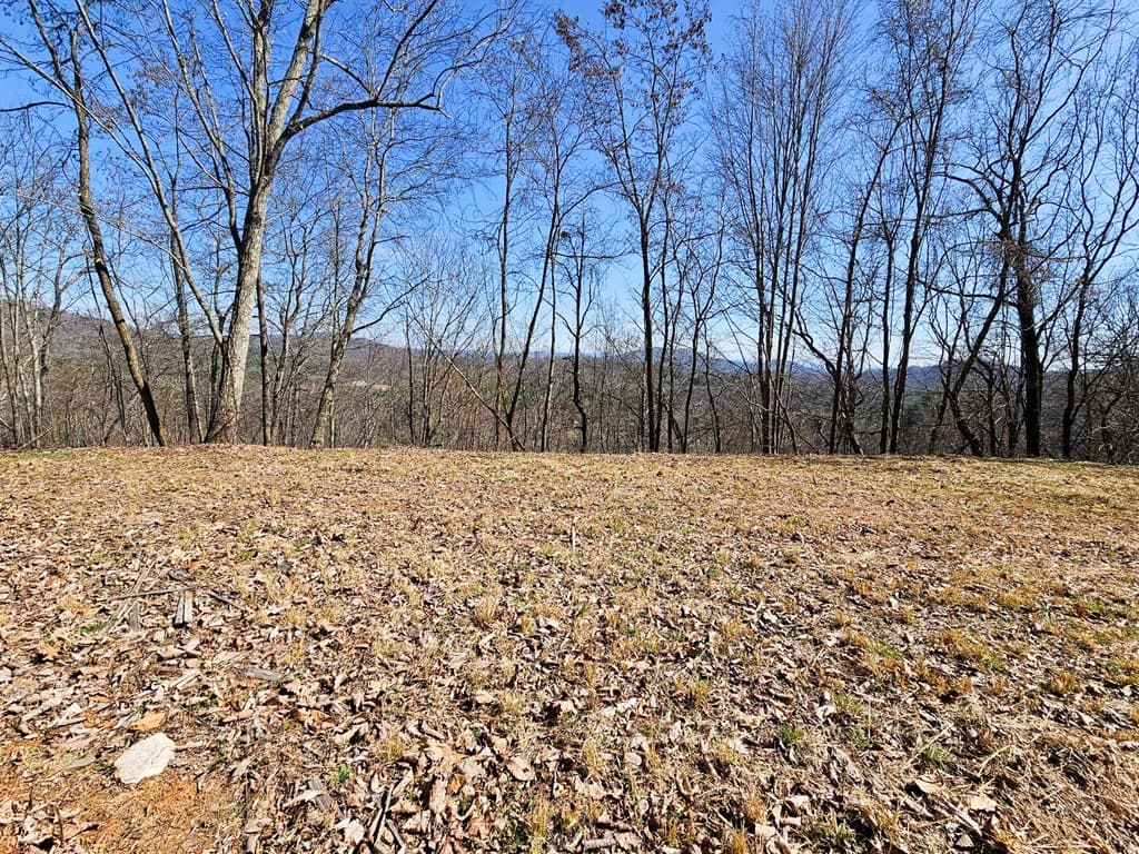 Lot 39 Merlin Trail/Warbler Road, Murphy NC 28906 - Photo