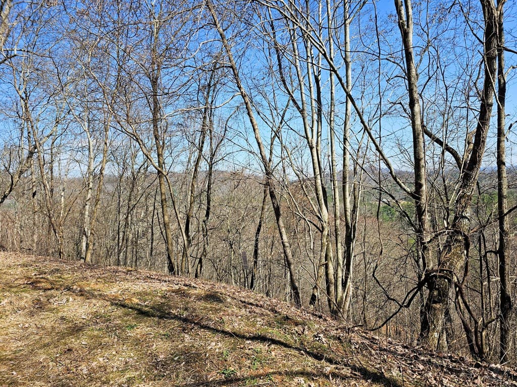 Lot 39 Merlin Trail/Warbler Road, Murphy NC 28906 - Photo