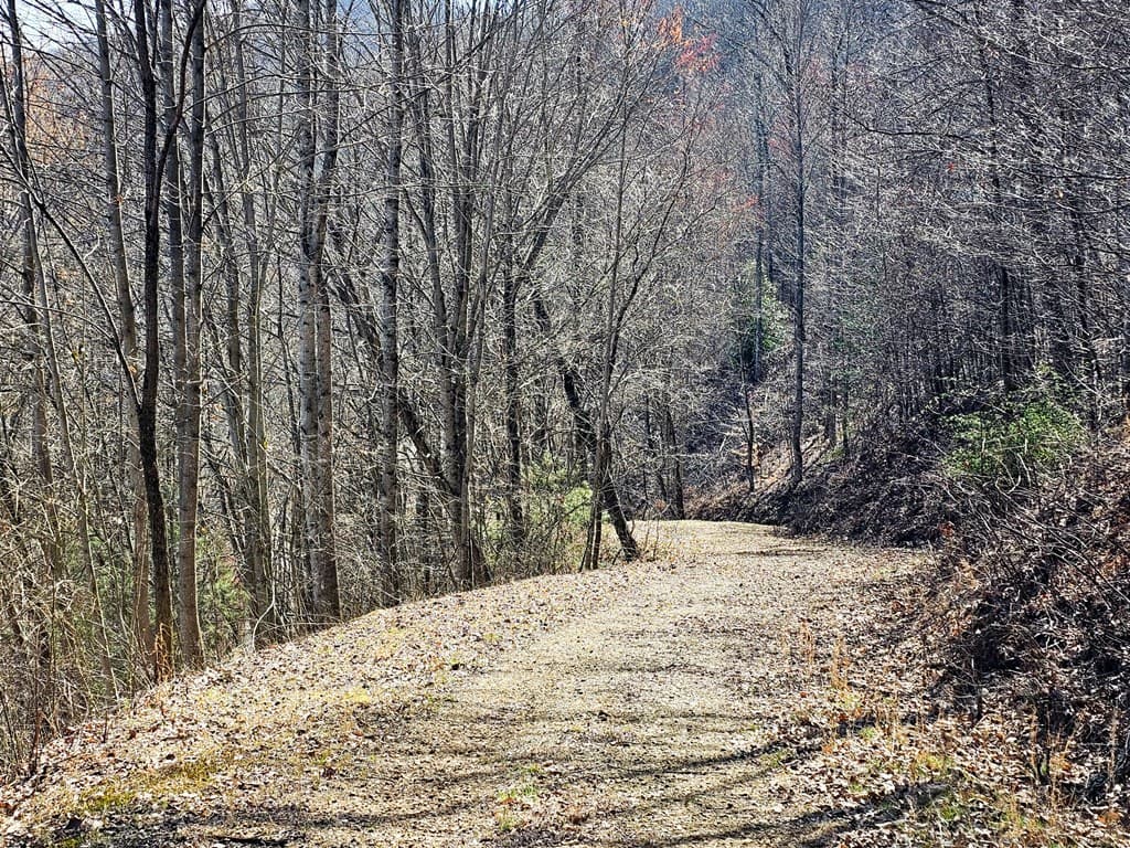 Lot 39 Merlin Trail/Warbler Road, Murphy NC 28906 - Photo