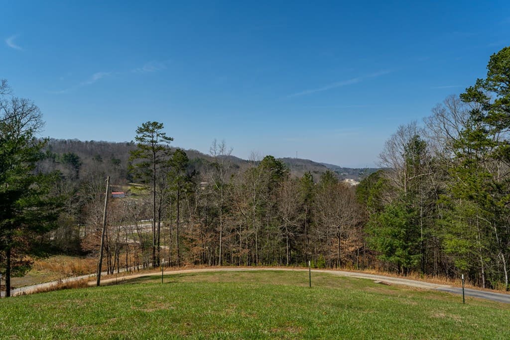 45 Turning Lay Road, Morganton GA 30560 - Photo