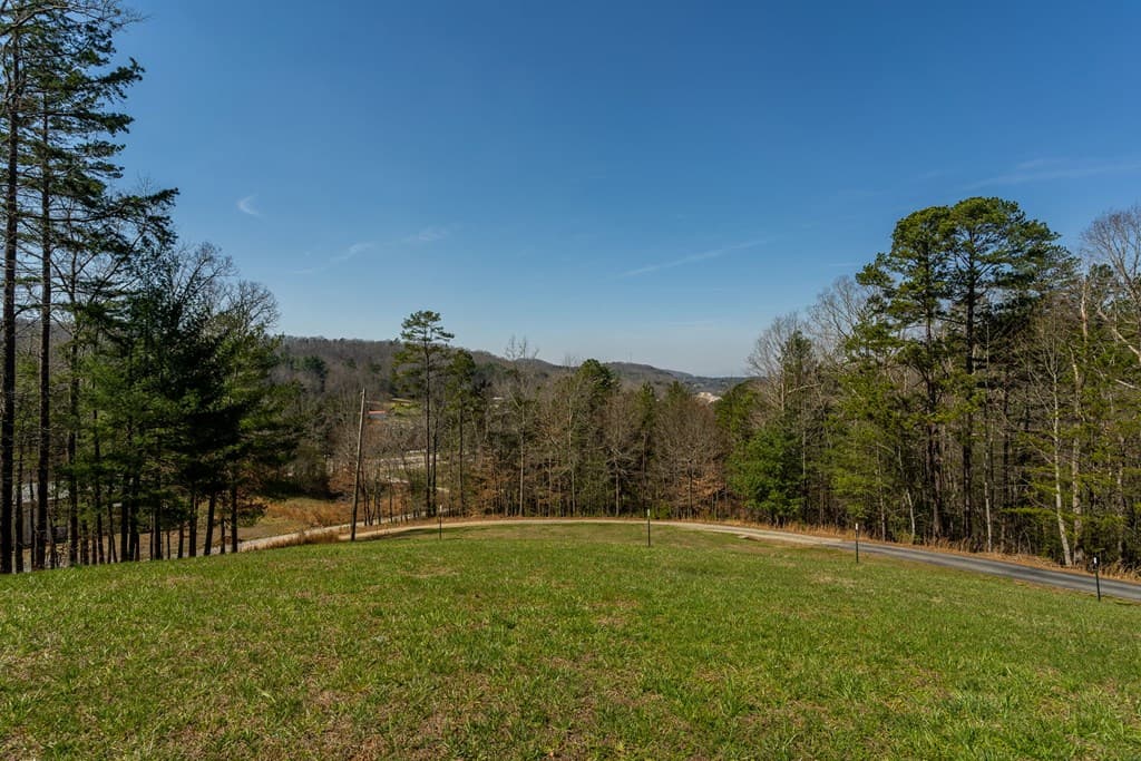 45 Turning Lay Road, Morganton GA 30560 - Photo