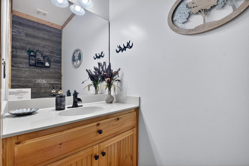 764 Ducktown Lane, Ellijay GA 30540 - Photo