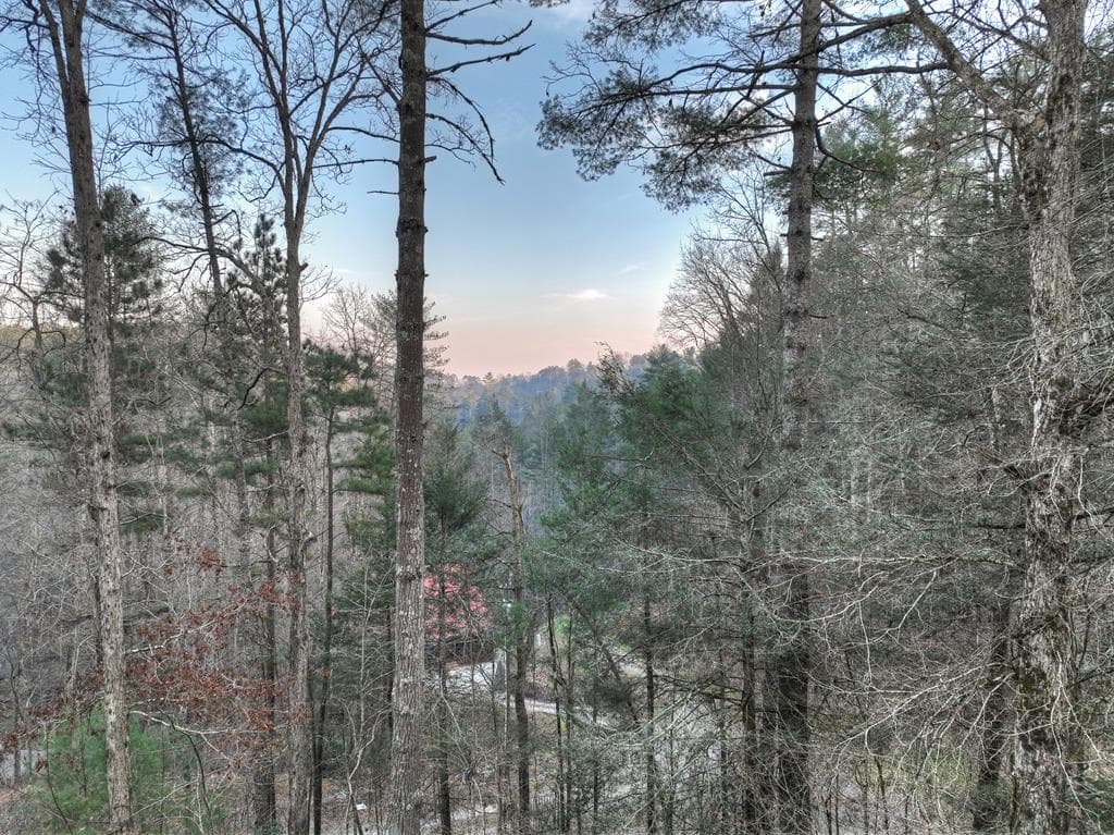 764 Ducktown Lane, Ellijay GA 30540 - Photo