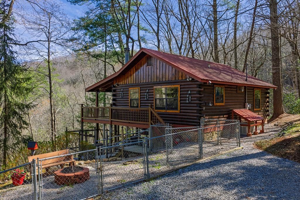 216 Pig Trail, Cherry Log GA 30522 - Photo