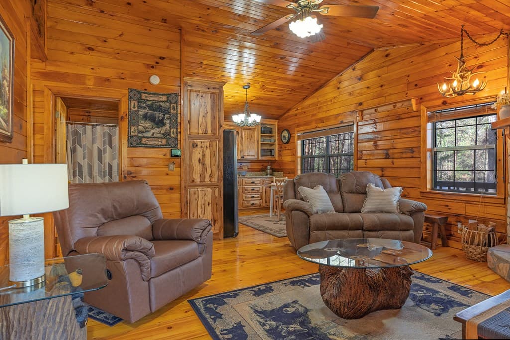216 Pig Trail, Cherry Log GA 30522 - Photo
