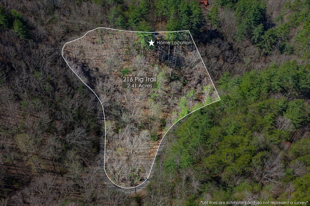 216 Pig Trail, Cherry Log GA 30522 - Photo