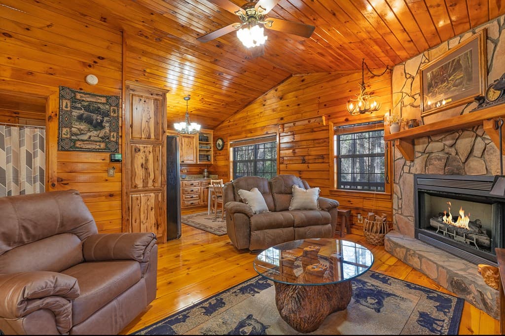 216 Pig Trail, Cherry Log GA 30522 - Photo